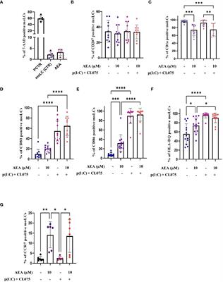 Anandamide modulation of monocyte-derived Langerhans cells: implications for immune homeostasis and skin inflammation